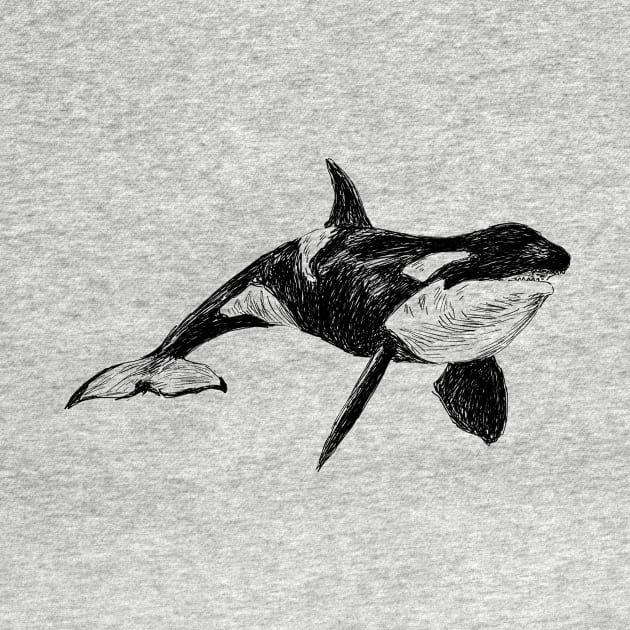 Killer Whale Image by rachelsfinelines